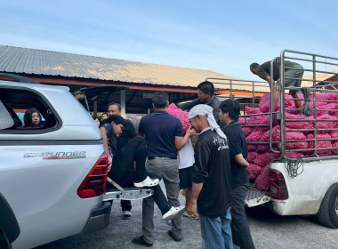 28 มค.69 ... พารามิเตอร์รูปภาพ 6